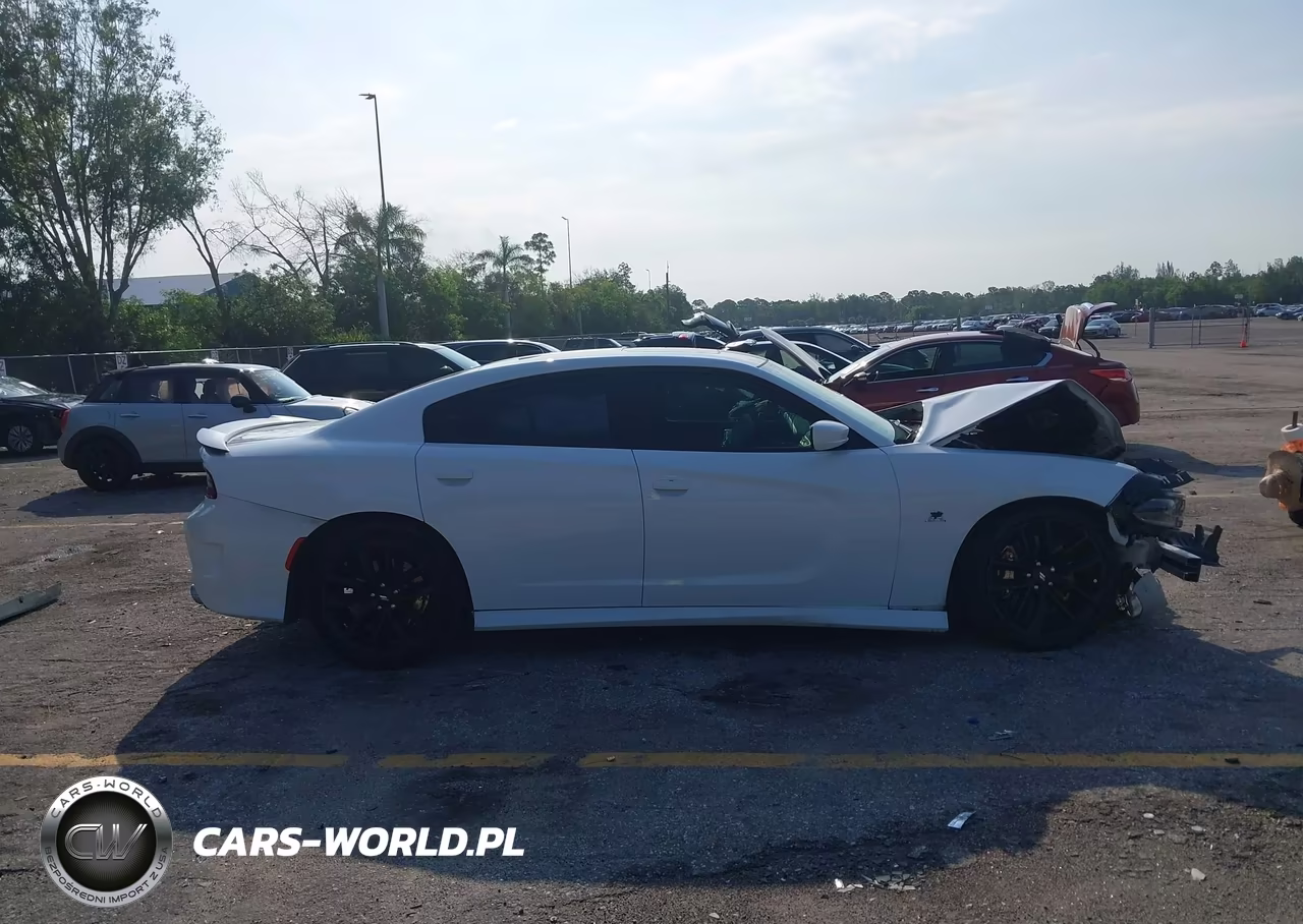 2019 Dodge Charger Scat Pack Rwd VIN:2C3CDXGJXKH734091 - 13