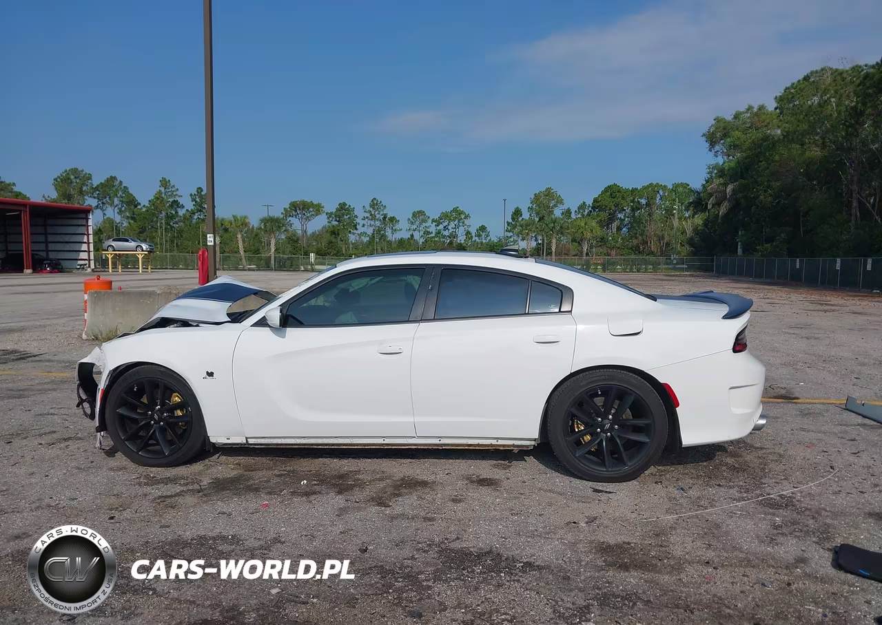 2019 Dodge Charger Scat Pack Rwd VIN:2C3CDXGJXKH734091 - 14