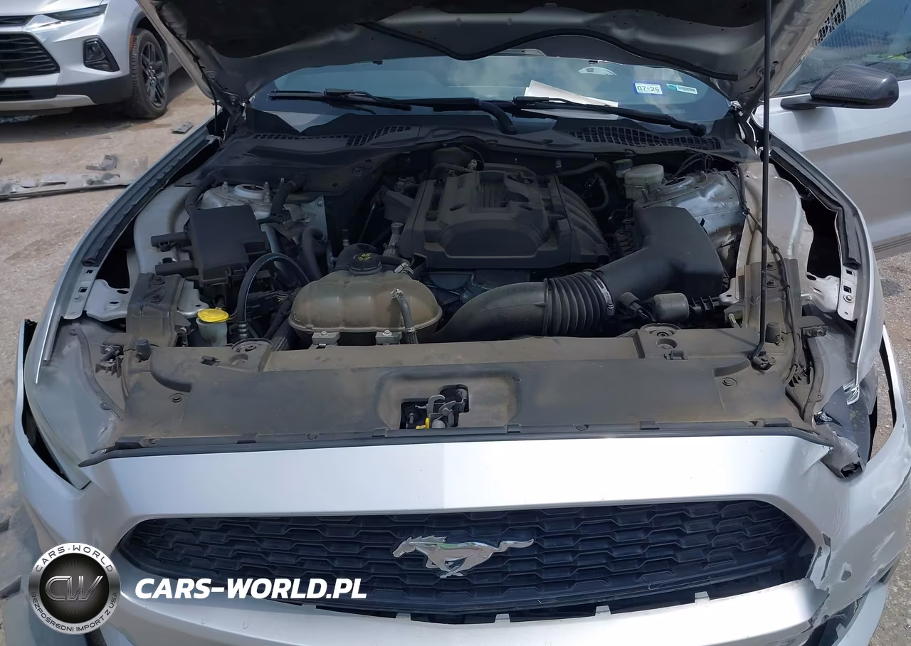 2015 Ford Mustang Ecoboost VIN:1FA6P8TH5F5318008 - 10