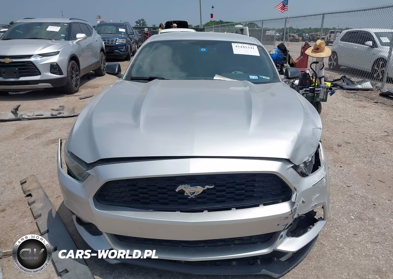 2015 Ford Mustang Ecoboost VIN:1FA6P8TH5F5318008 - 12