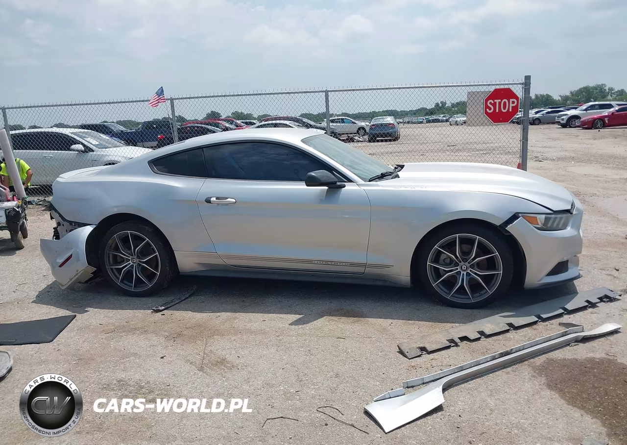 2015 Ford Mustang Ecoboost VIN:1FA6P8TH5F5318008 - 13