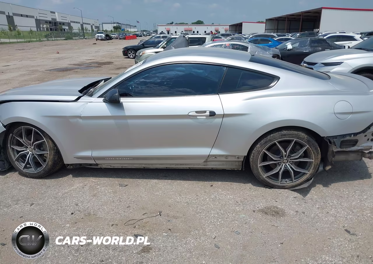 2015 Ford Mustang Ecoboost VIN:1FA6P8TH5F5318008 - 14