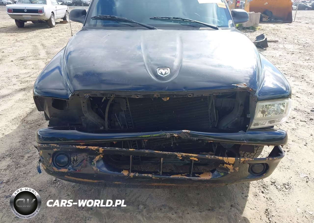 1998 Dodge Dakota Slt-Sport VIN:1B7FL26X1WS503616 - 6
