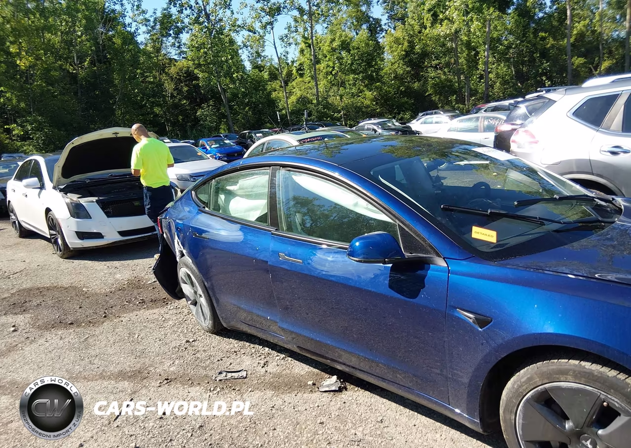 2023 Tesla Model 3 Rear-Wheel Drive VIN:5YJ3E1EA0PF504047 - 12