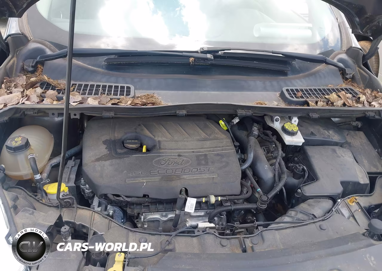 2017 Ford Escape Se VIN:1FMCU0GD6HUD34253 - 10