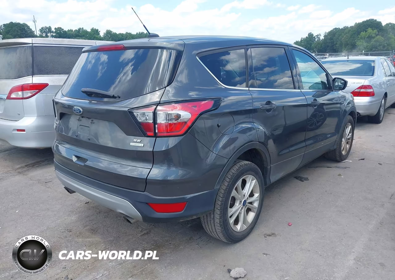2017 Ford Escape Se VIN:1FMCU0GD6HUD34253 - 4