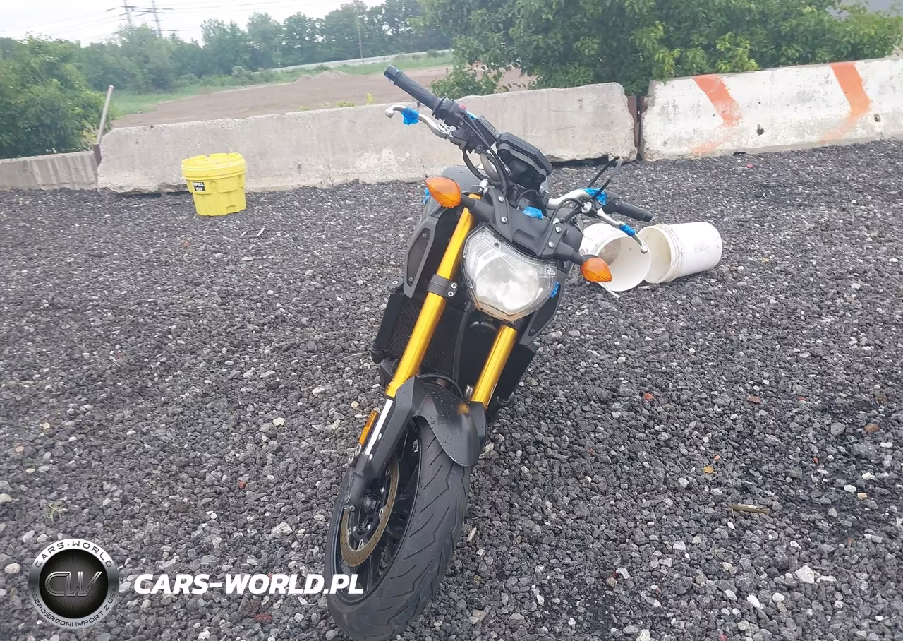 2015 Yamaha Fz09 VIN:JYARN33E1FA007345 - 5