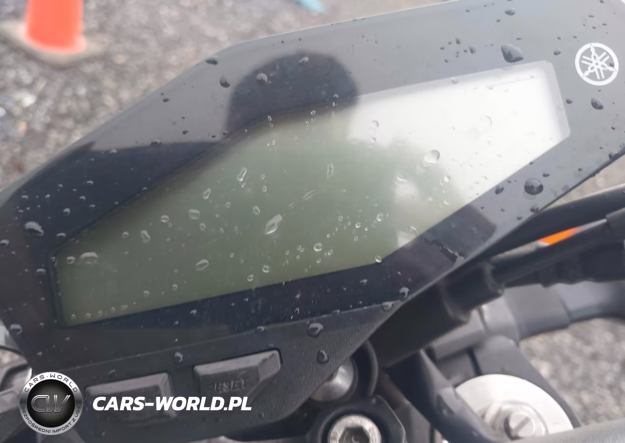 2015 Yamaha Fz09 VIN:JYARN33E1FA007345 - 7