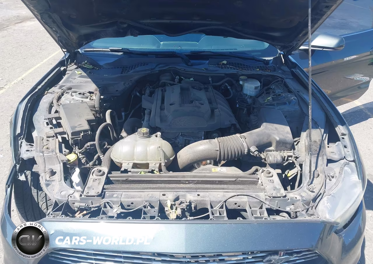 2016 Ford Mustang Ecoboost VIN:1FA6P8TH7G5269427 - 10