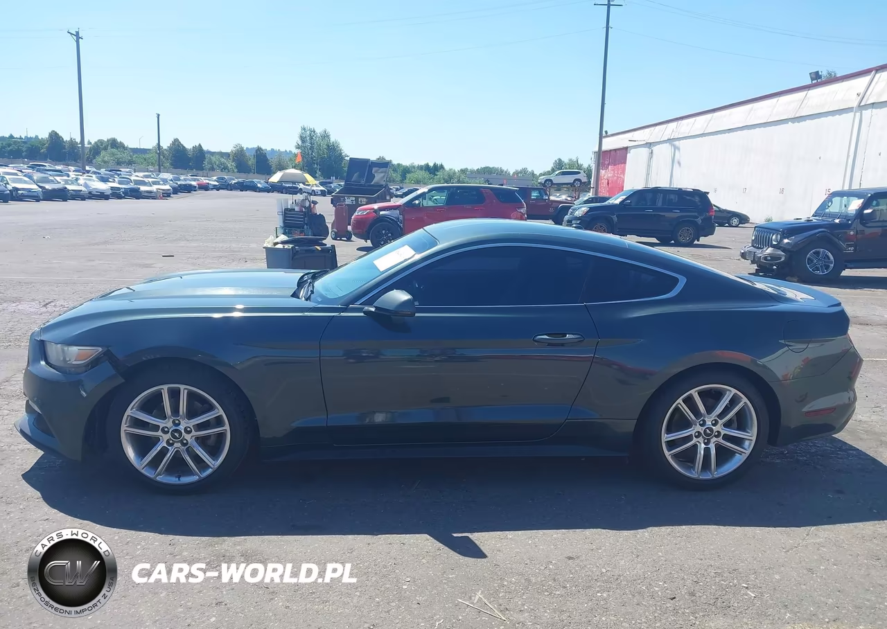 2016 Ford Mustang Ecoboost VIN:1FA6P8TH7G5269427 - 14