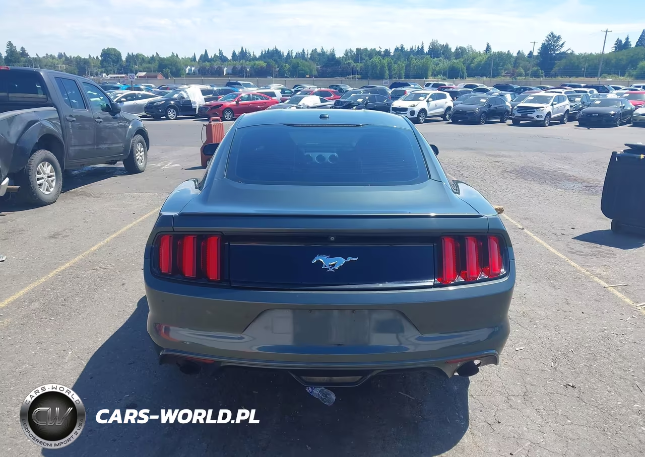 2016 Ford Mustang Ecoboost VIN:1FA6P8TH7G5269427 - 16