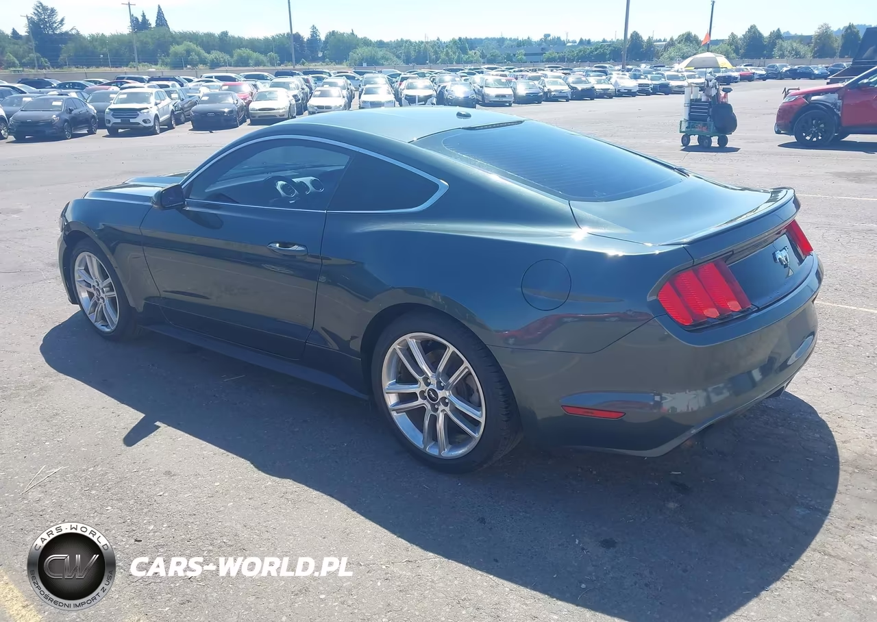 2016 Ford Mustang Ecoboost VIN:1FA6P8TH7G5269427 - 3