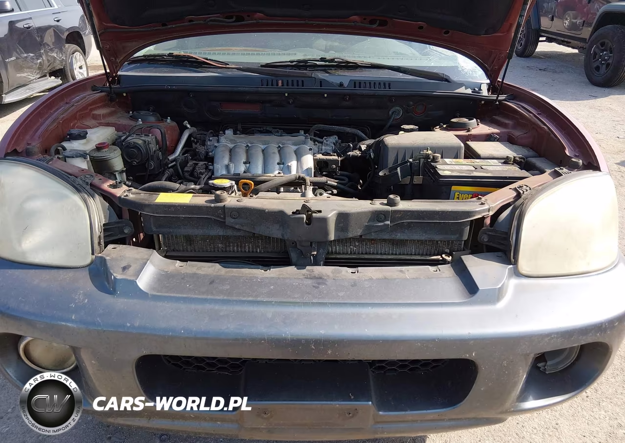 2004 Hyundai Santa Fe Gls-Lx VIN:KM8SC13E94U786856 - 10