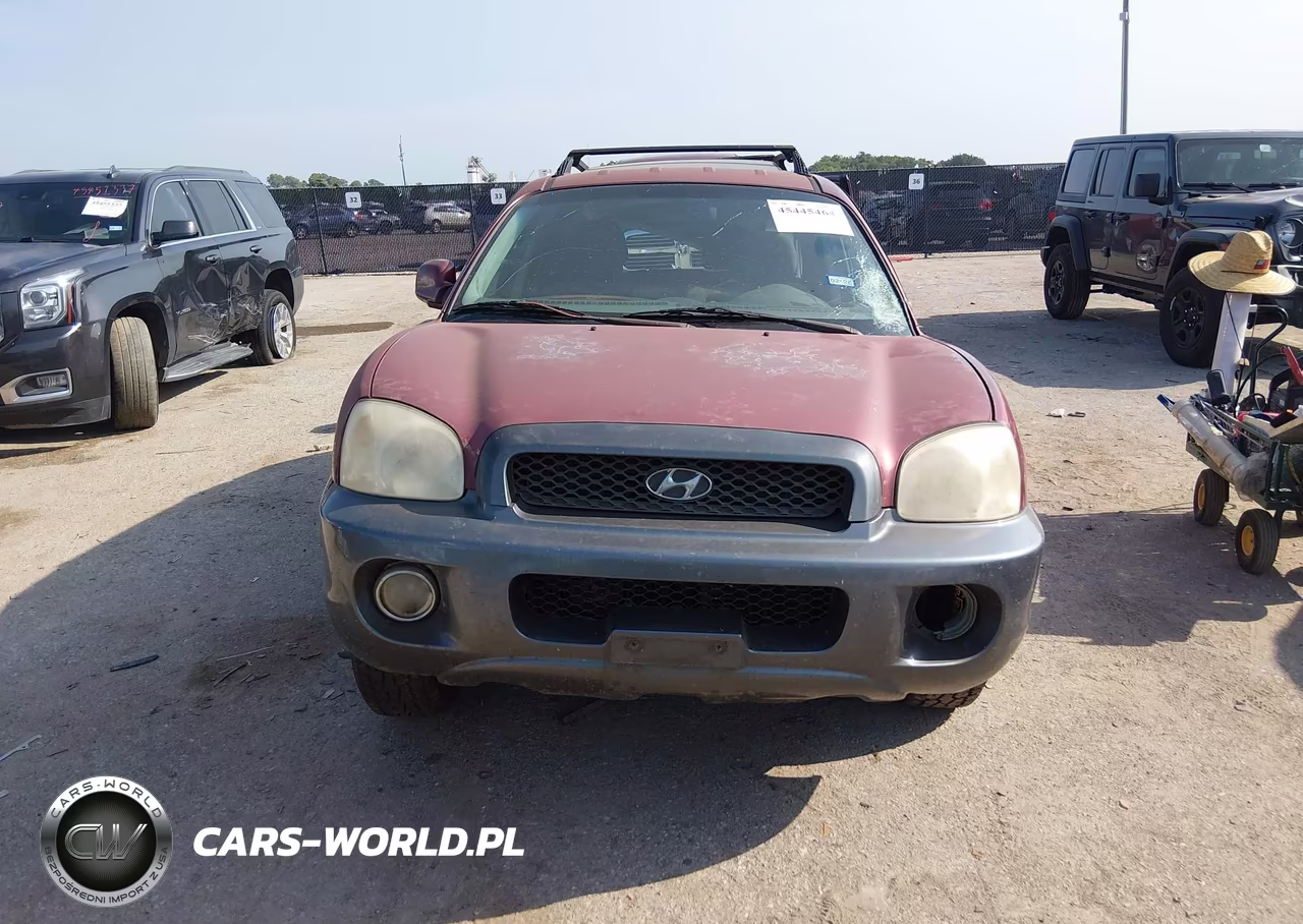 2004 Hyundai Santa Fe Gls-Lx VIN:KM8SC13E94U786856 - 12