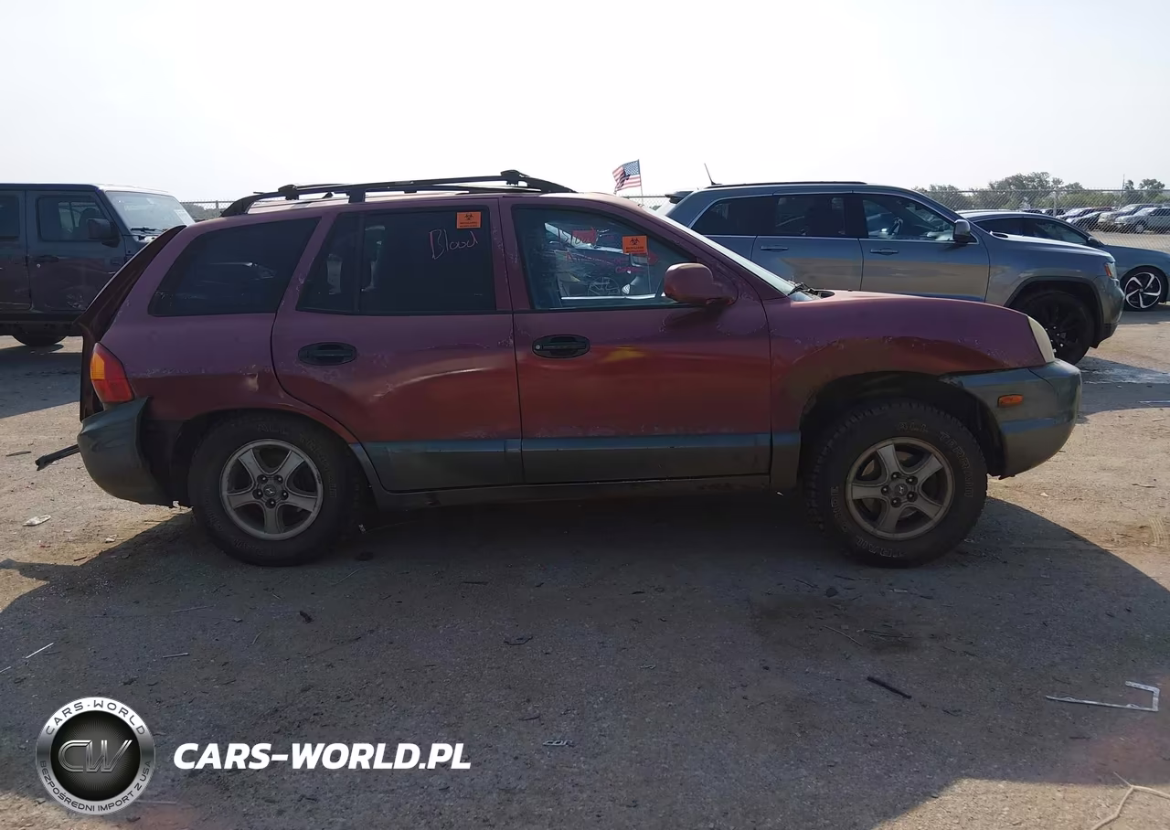 2004 Hyundai Santa Fe Gls-Lx VIN:KM8SC13E94U786856 - 13