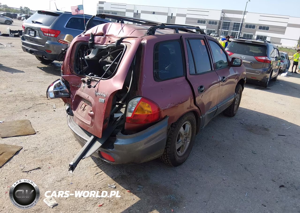 2004 Hyundai Santa Fe Gls-Lx VIN:KM8SC13E94U786856 - 4