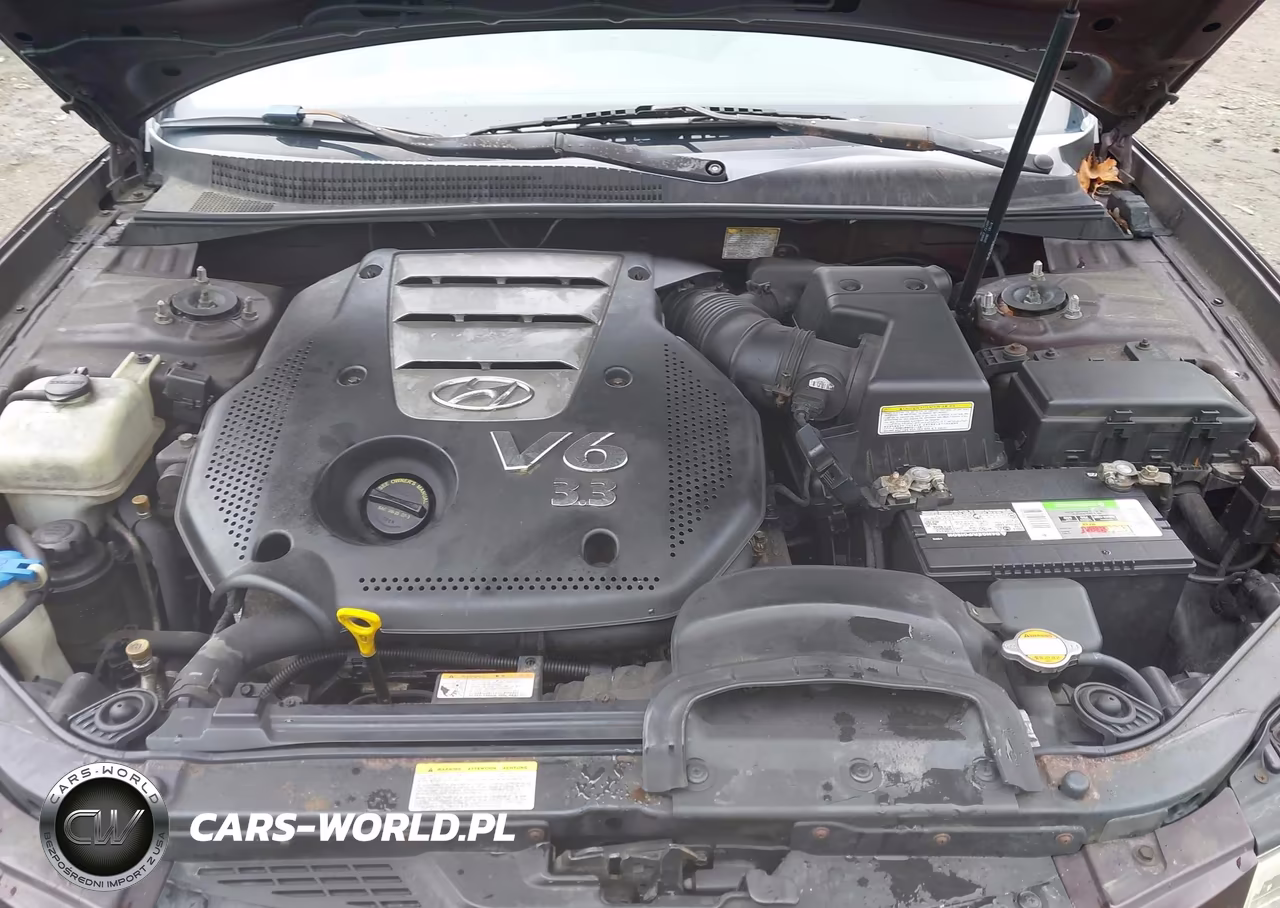 2006 Hyundai Sonata Gls V6-Lx V6 VIN:5NPEU46F66H026918 - 10