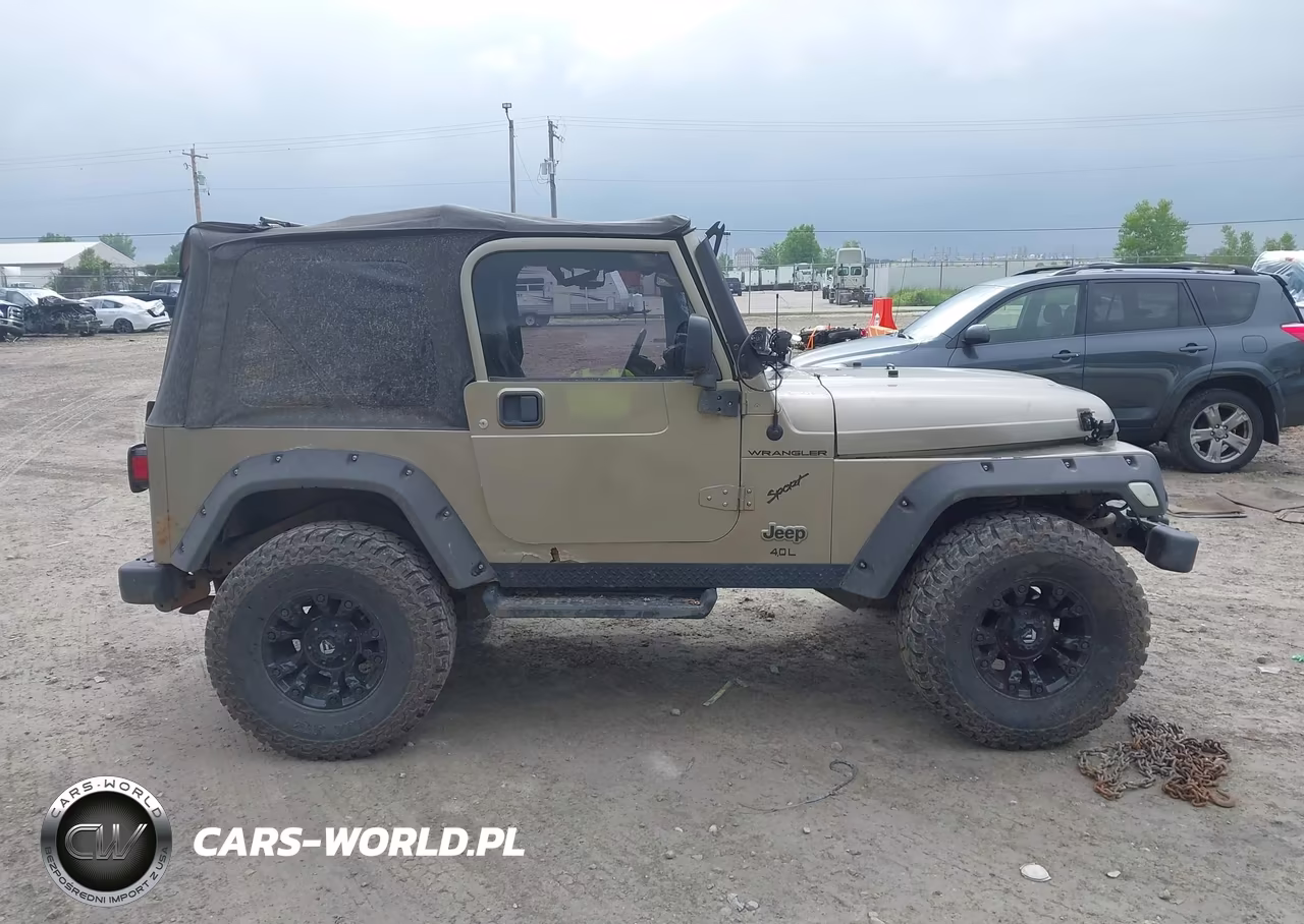 2004 Jeep Tj Sahara VIN:1J4FA59S44P744989 - 13