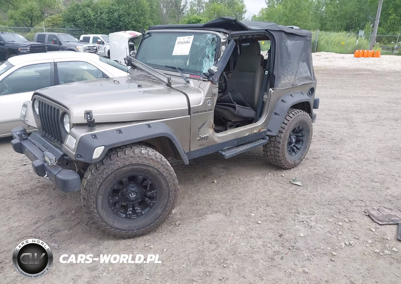 2004 Jeep Tj Sahara VIN:1J4FA59S44P744989 - 2