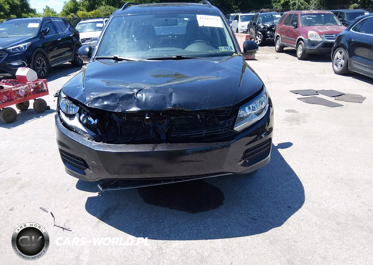 2015 Volkswagen Tiguan S VIN:WVGBV7AX8FW546187 - 13