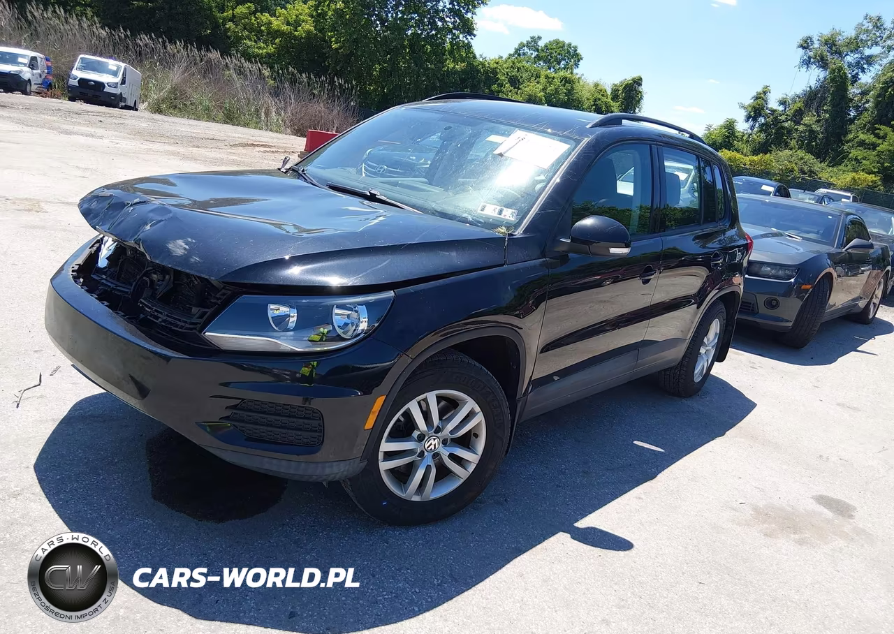 2015 Volkswagen Tiguan S VIN:WVGBV7AX8FW546187 - 2