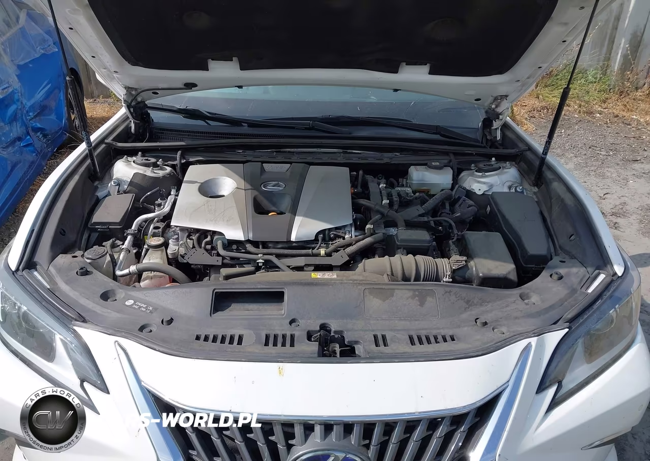 2020 Lexus Es 300H VIN:58AD21B15LU012430 - 10