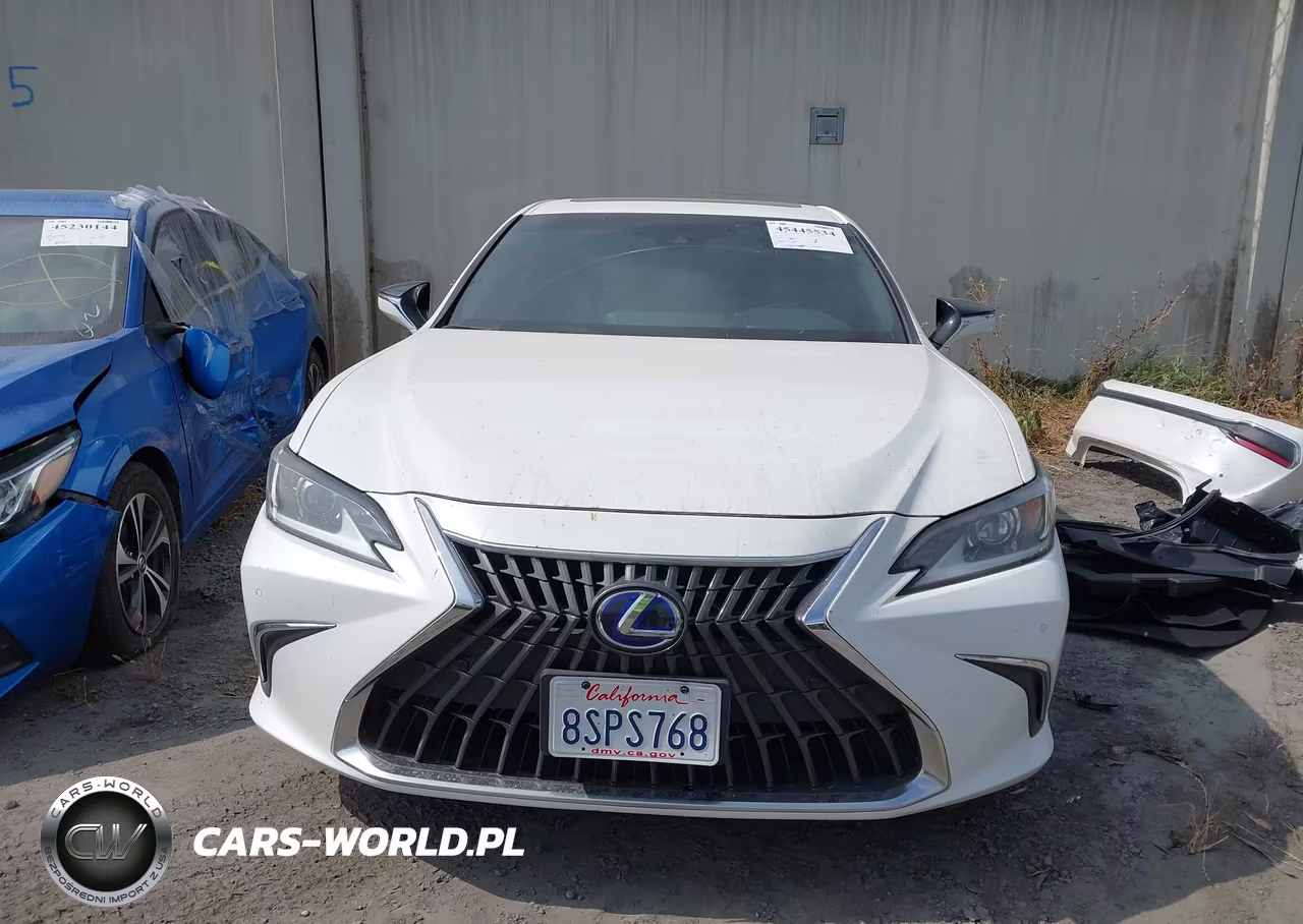 2020 Lexus Es 300H VIN:58AD21B15LU012430 - 13