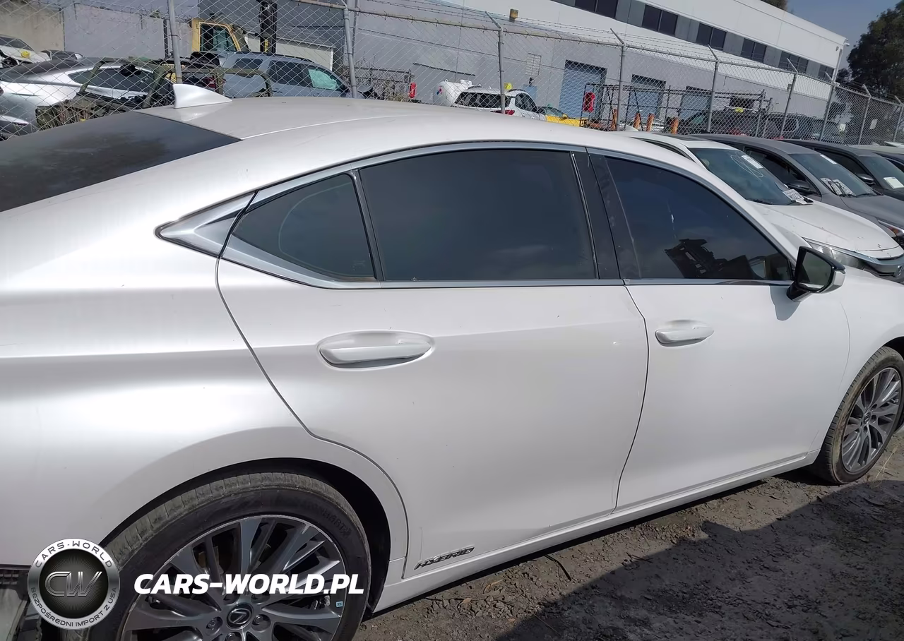 2020 Lexus Es 300H VIN:58AD21B15LU012430 - 14