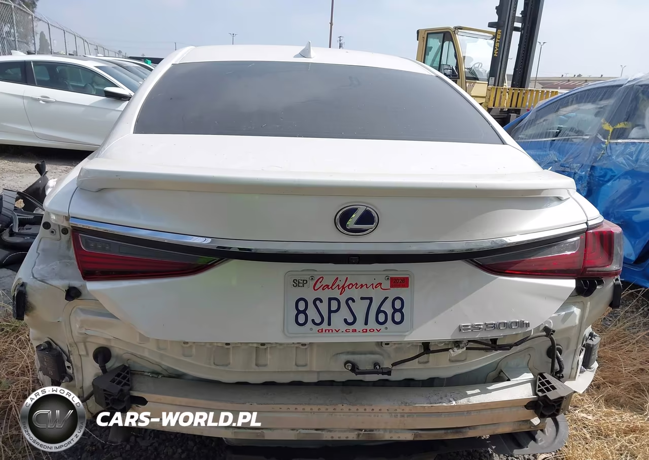 2020 Lexus Es 300H VIN:58AD21B15LU012430 - 17
