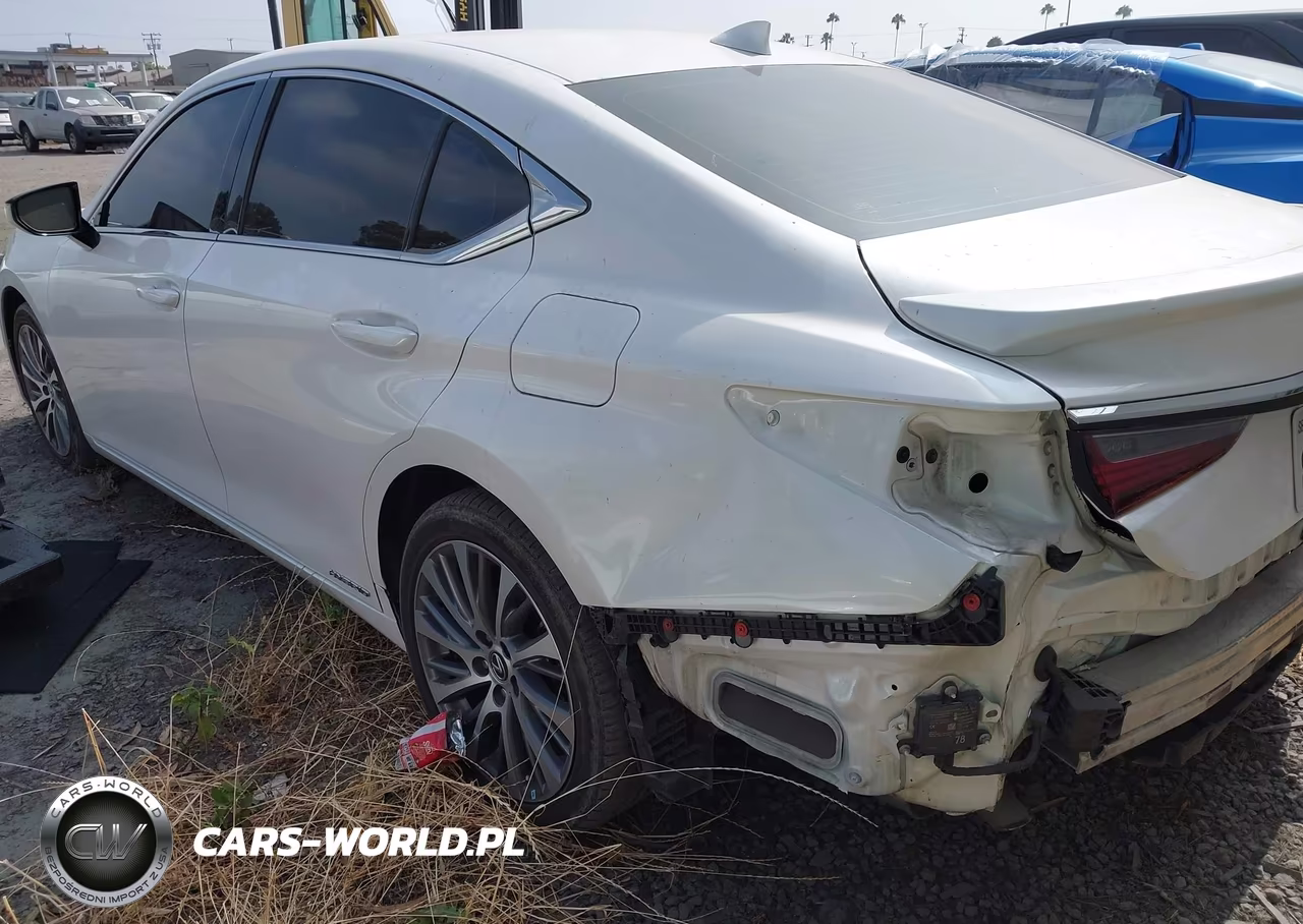 2020 Lexus Es 300H VIN:58AD21B15LU012430 - 3