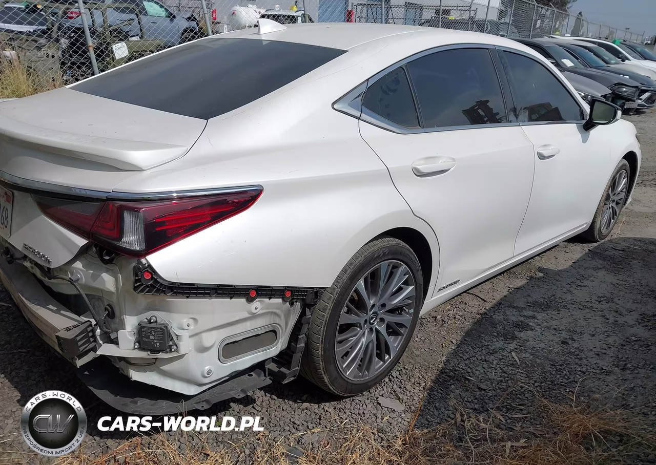2020 Lexus Es 300H VIN:58AD21B15LU012430 - 4