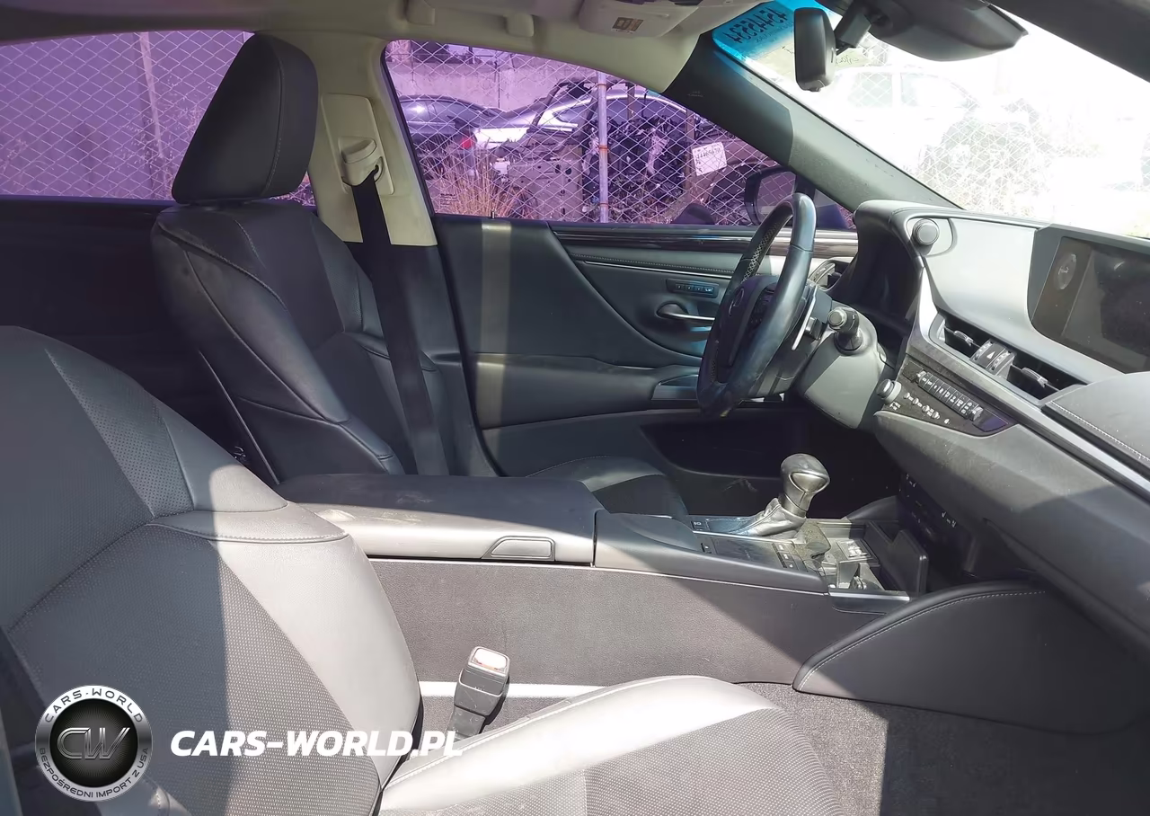 2020 Lexus Es 300H VIN:58AD21B15LU012430 - 5