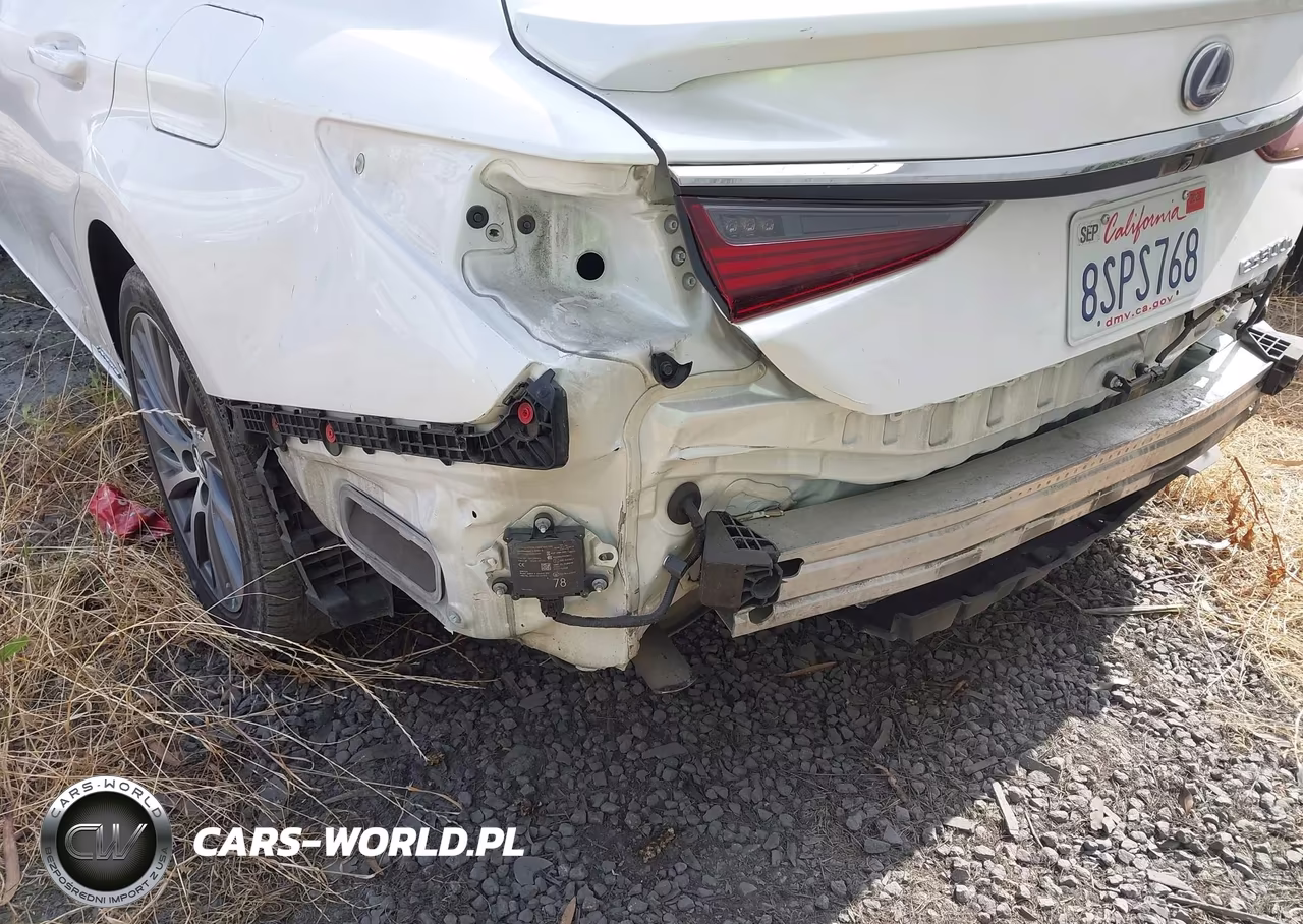 2020 Lexus Es 300H VIN:58AD21B15LU012430 - 6