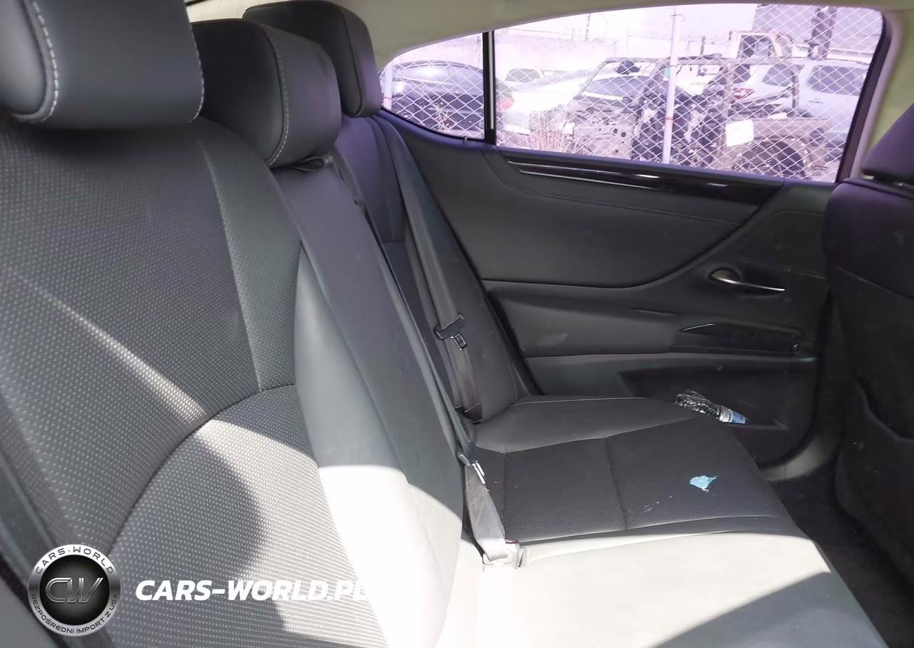 2020 Lexus Es 300H VIN:58AD21B15LU012430 - 8