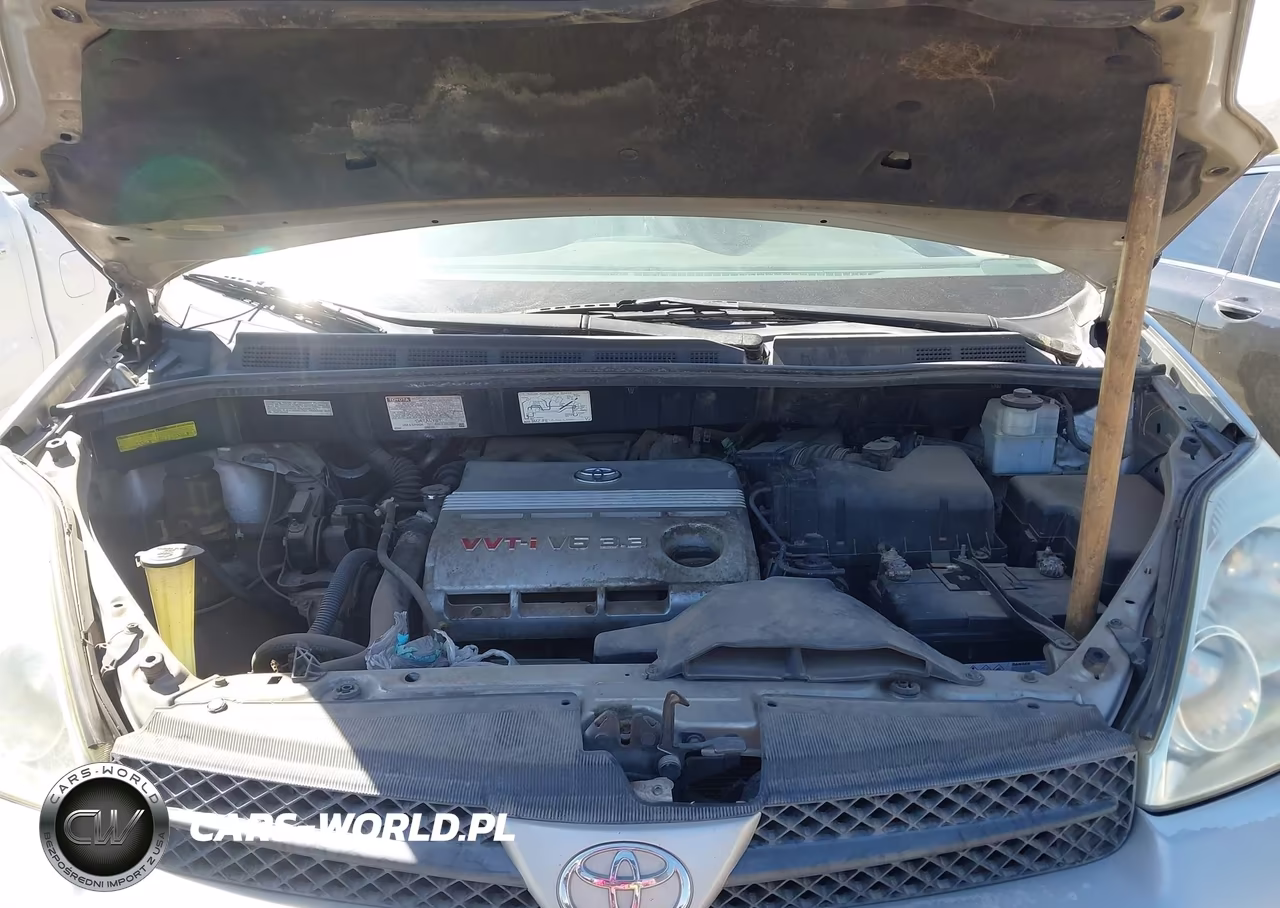 2004 Toyota Sienna Le VIN:5TDBA23C54S024434 - 10