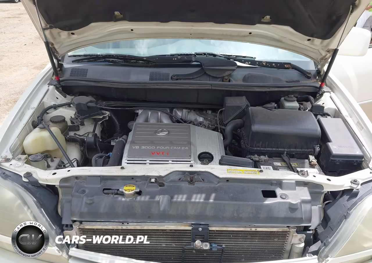 2000 Lexus Rx 300 VIN:JT6GF10U9Y0056916 - 10