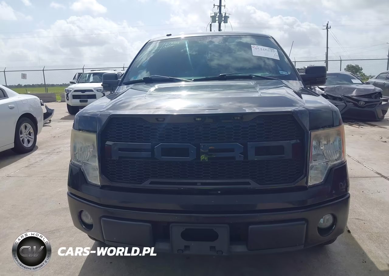 2009 Ford F-150 Xlt VIN:1FTPW12V49FA75709 - 12