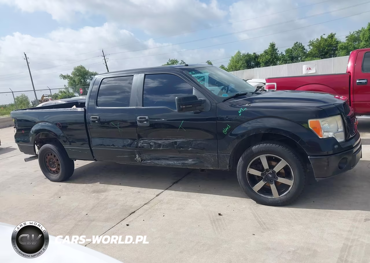2009 Ford F-150 Xlt VIN:1FTPW12V49FA75709 - 13