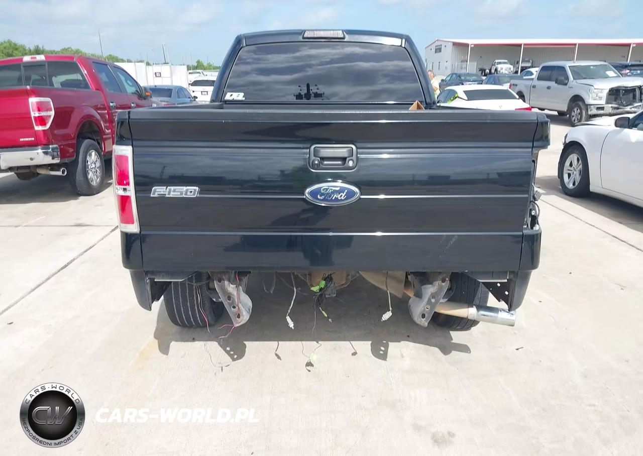 2009 Ford F-150 Xlt VIN:1FTPW12V49FA75709 - 16