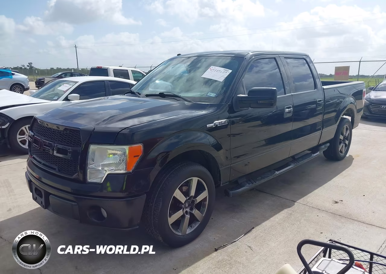 2009 Ford F-150 Xlt VIN:1FTPW12V49FA75709 - 2