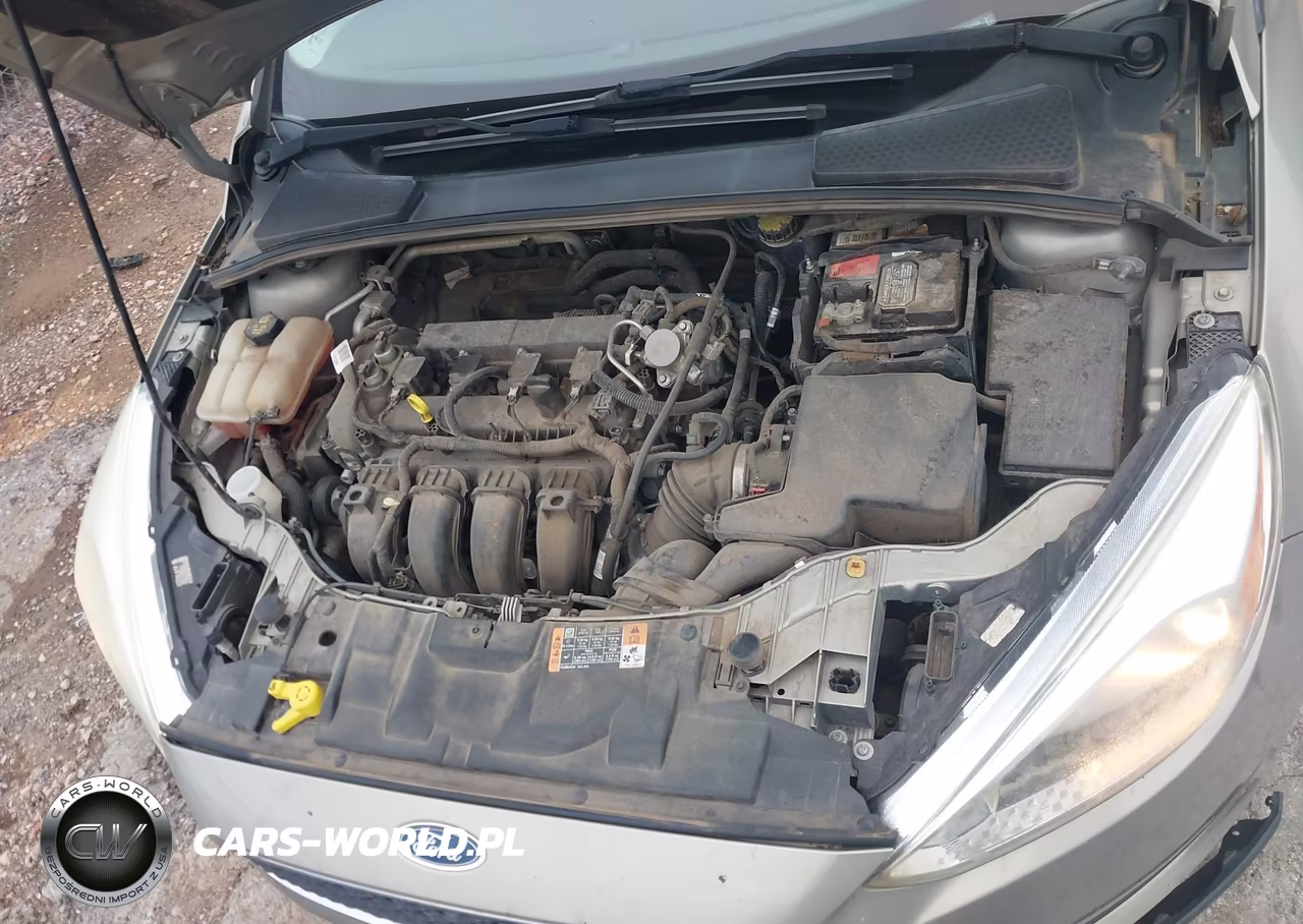2016 Ford Focus Se VIN:1FADP3F29GL352869 - 10