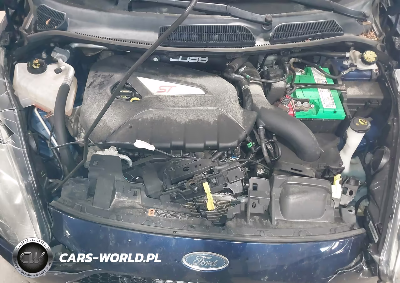 2016 Ford Fiesta St VIN:3FADP4GX4GM182872 - 10
