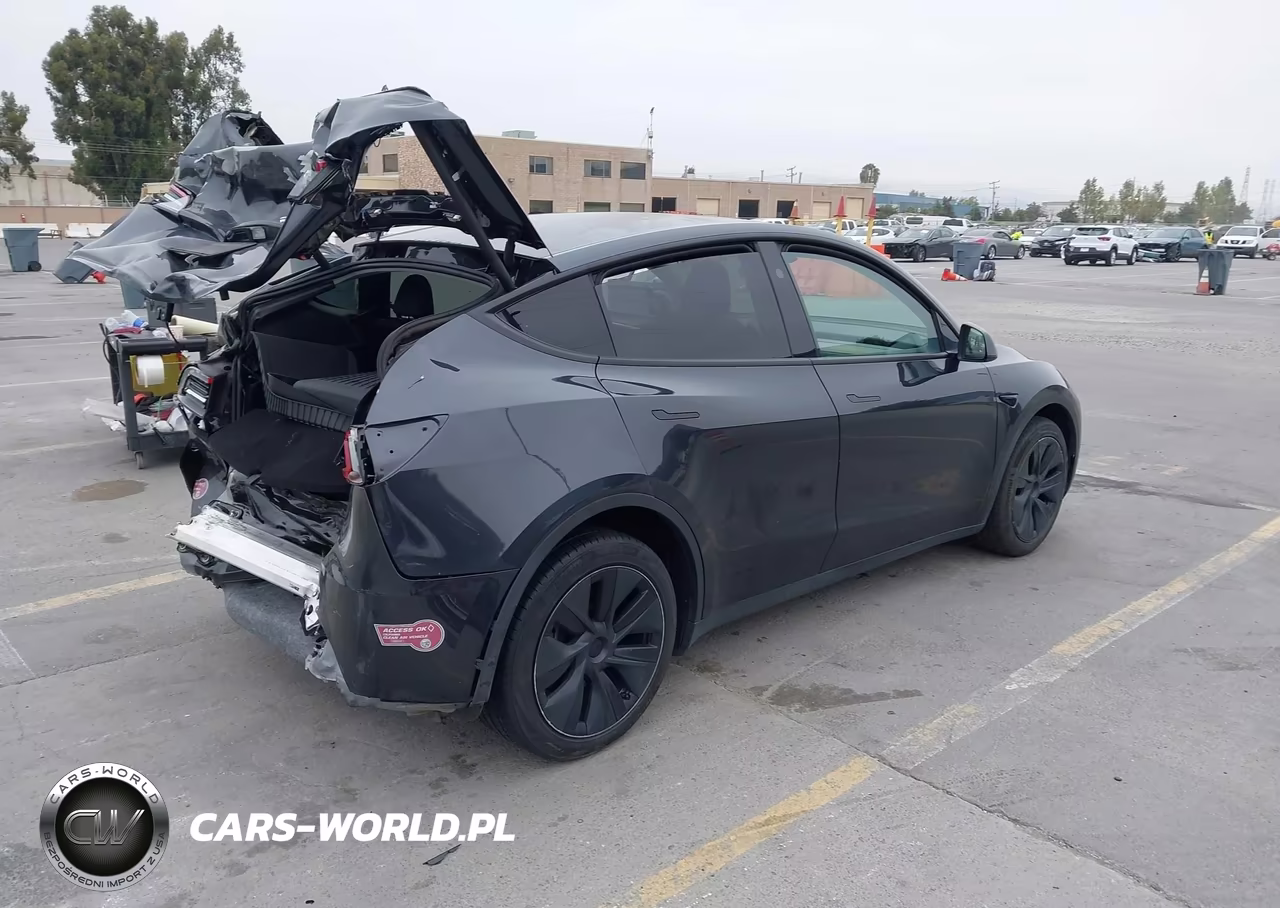 2024 Tesla Model Y Long Range Dual Motor All-Wheel Drive VIN:7SAYGDEE2RF159825 - 4