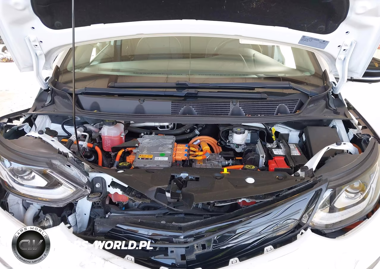 2020 Chevrolet Bolt Ev Fwd Premier VIN:1G1FZ6S02L4107864 - 10