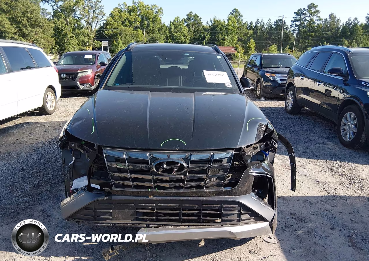 2024 Hyundai Tucson Hybrid N Line VIN:KM8JFCD13RU150158 - 13