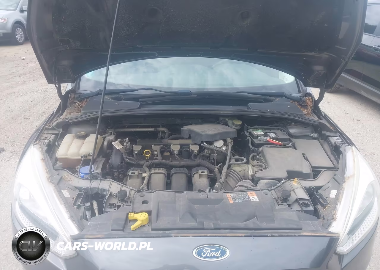 2015 Ford Focus Se VIN:1FADP3F21FL357157 - 9