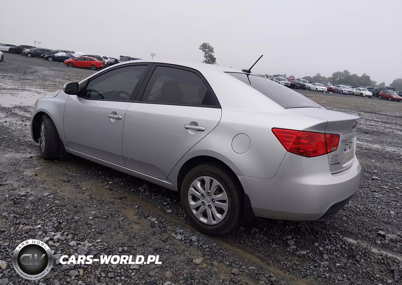 2012 Kia Forte Ex VIN:KNAFU4A25C5496133 - 3