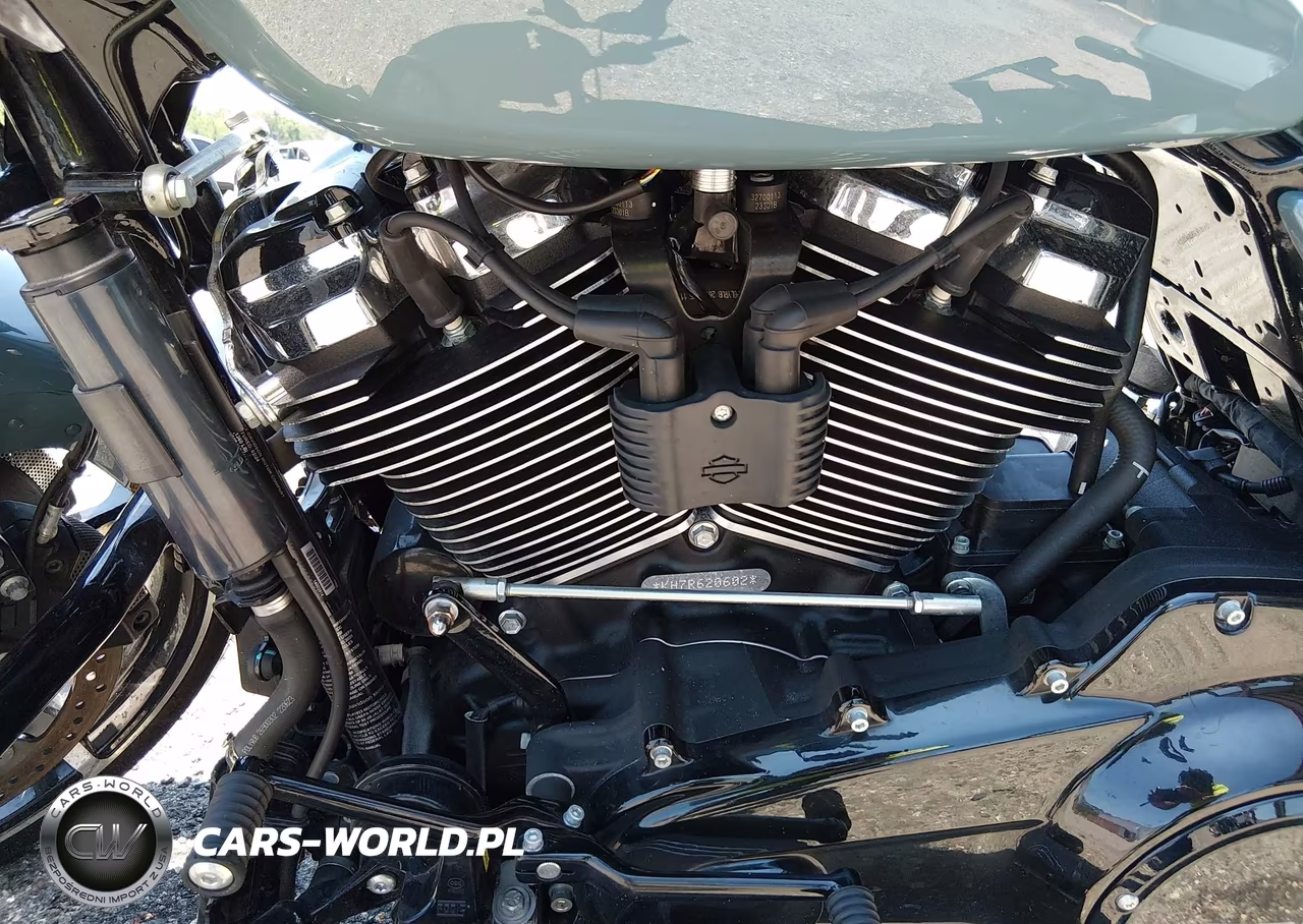 2024 Harley-Davidson Fltrx VIN:1HD1KH719RB620602 - 9