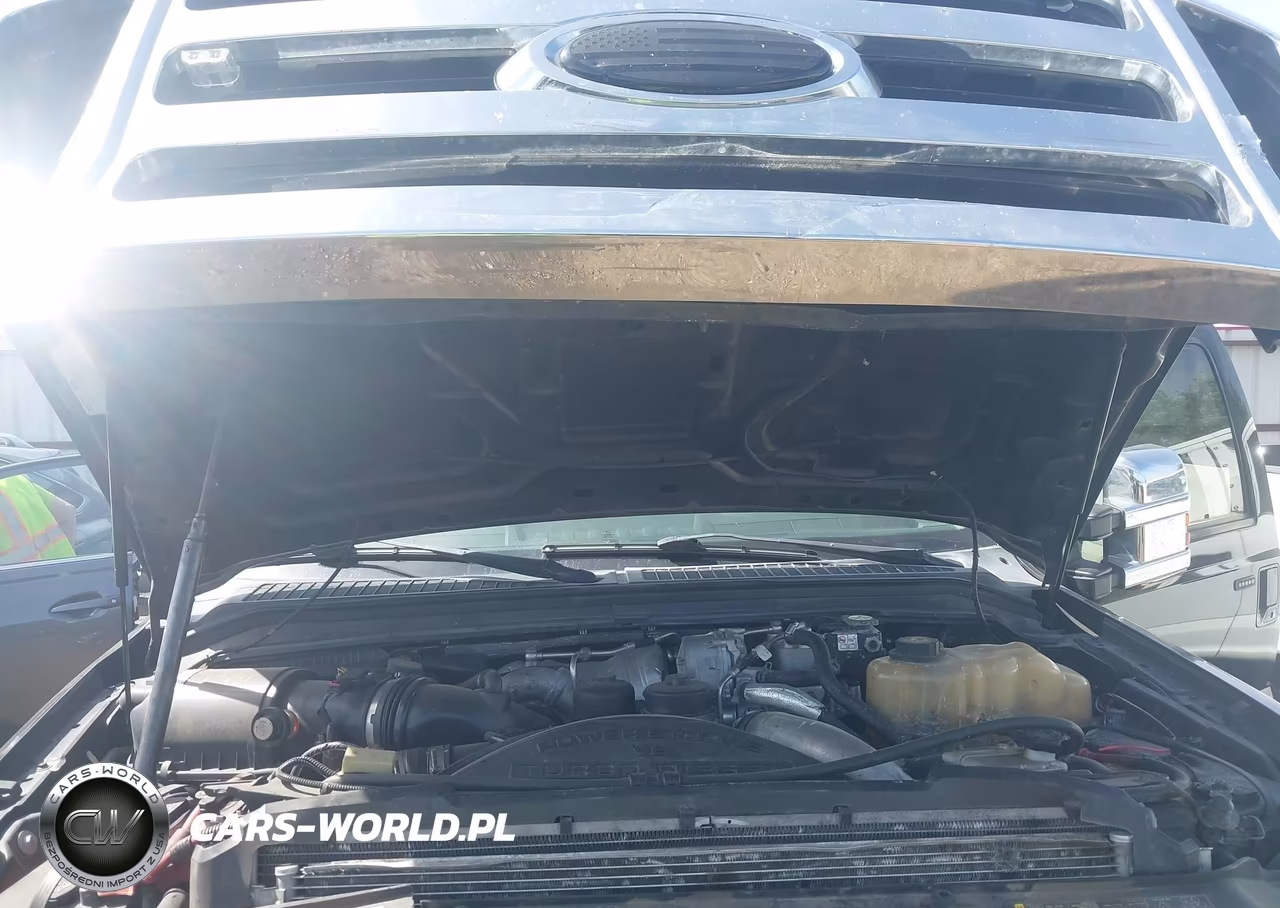 2010 Ford F-250 Cabela's-Harley-Davidson-King Ranch-Lariat-Xl-Xlt VIN:1FTSW2BRXAEB27213 - 10