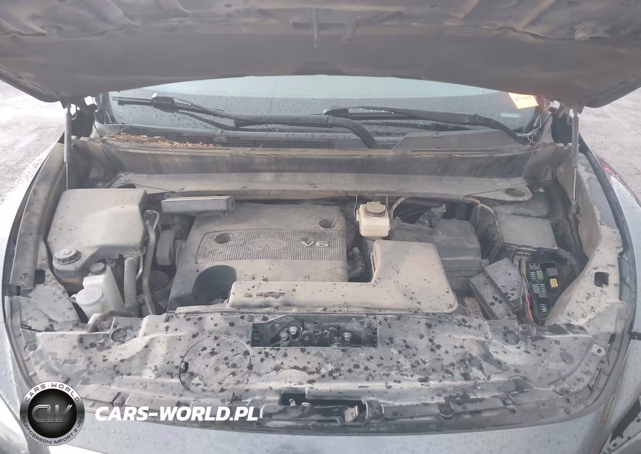 2014 Infiniti Qx60 VIN:5N1AL0MMXEC511726 - 10